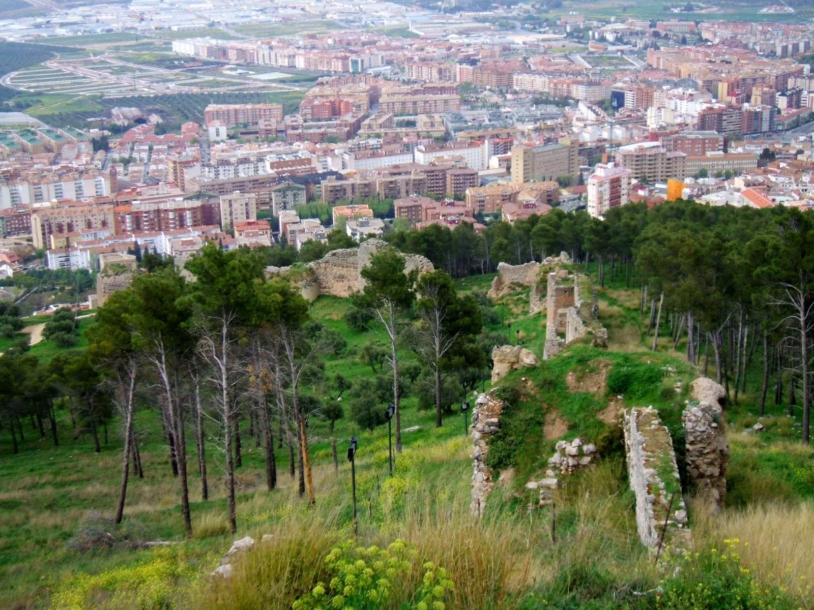 jaen